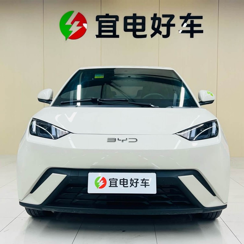 Seagull 2025 305km Freedom Edition Seagull 2025 305km Freedom Edition