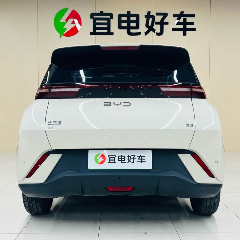 Seagull 2025 305km Freedom Edition Seagull 2025 305km Freedom Edition