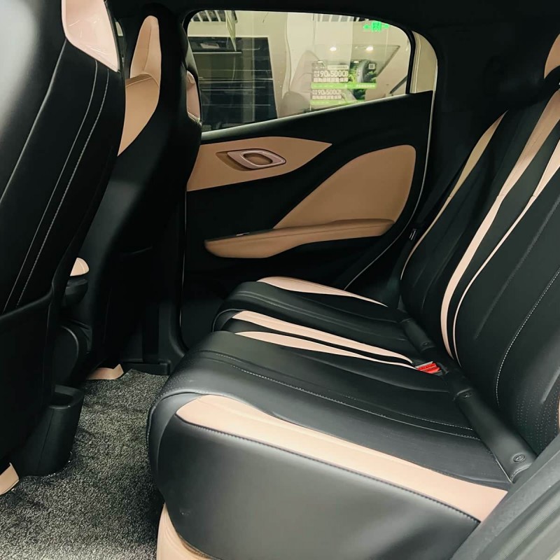 Seagull 2025 305km Freedom Edition Seagull 2025 305km Freedom Edition