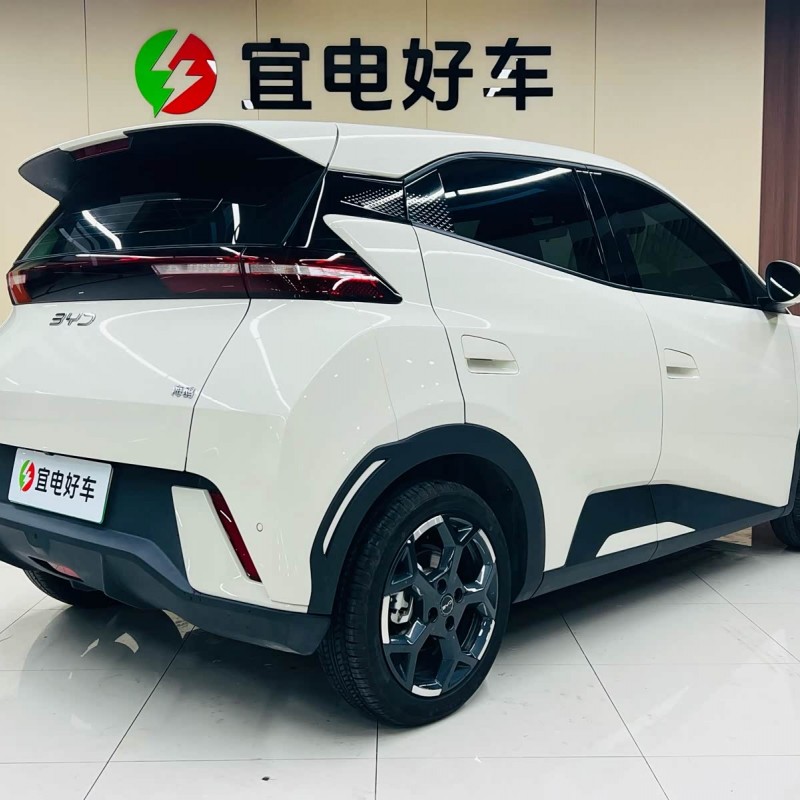 Seagull 2025 305km Freedom Edition Seagull 2025 305km Freedom Edition