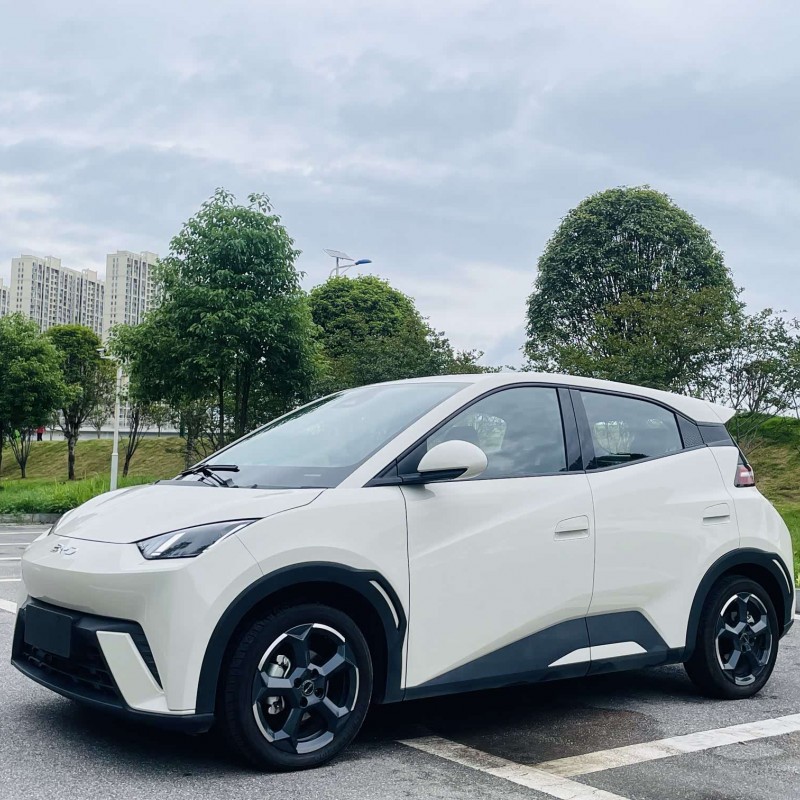Seagull 2024 Glory Edition 405km Flying Edition Seagull 2024 Glory Edition 405km Flying Edition
