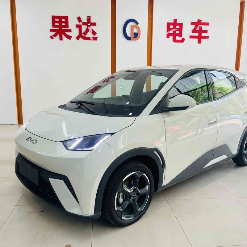 Seagull 2024 Glory Edition 405km Flying Edition