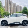Seagull 2024 Glory Edition 405km Flying Edition