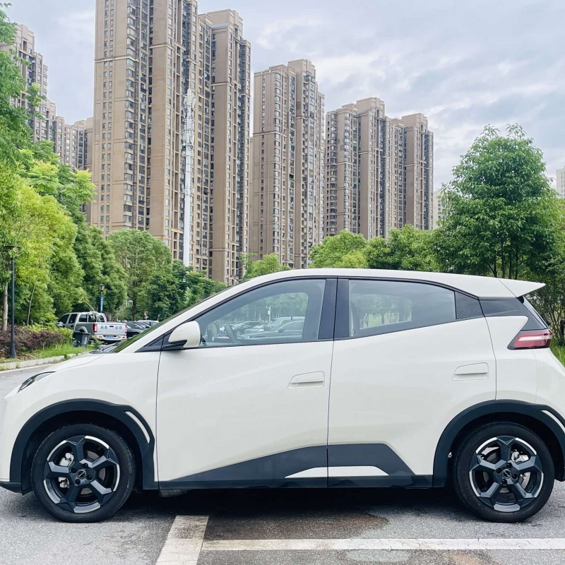 Seagull 2024 Glory Edition 405km Flying Edition Seagull 2024 Glory Edition 405km Flying Edition