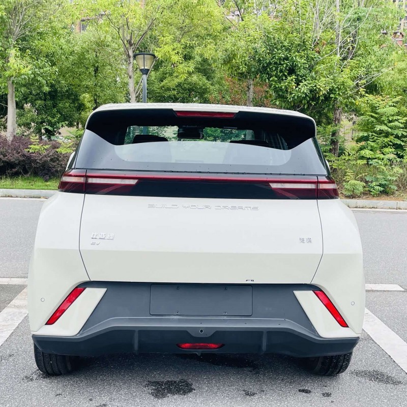 Seagull 2024 Glory Edition 405km Flying Edition Seagull 2024 Glory Edition 405km Flying Edition