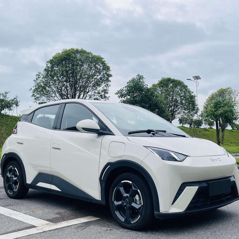 Seagull 2024 Glory Edition 405km Flying Edition Seagull 2024 Glory Edition 405km Flying Edition