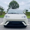 Seagull 2024 Glory Edition 405km Flying Edition
