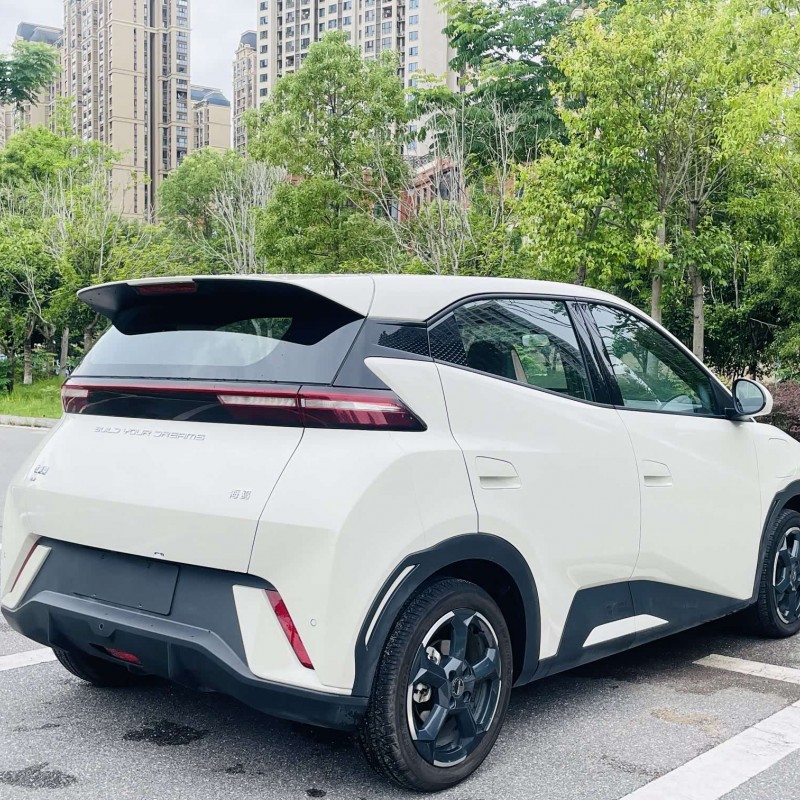 Seagull 2024 Glory Edition 405km Flying Edition Seagull 2024 Glory Edition 405km Flying Edition