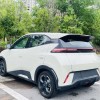 Seagull 2024 Glory Edition 405km Flying Edition