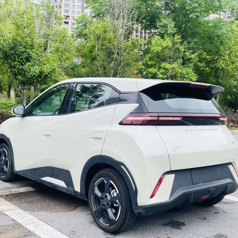 Seagull 2024 Glory Edition 405km Flying Edition Seagull 2024 Glory Edition 405km Flying Edition
