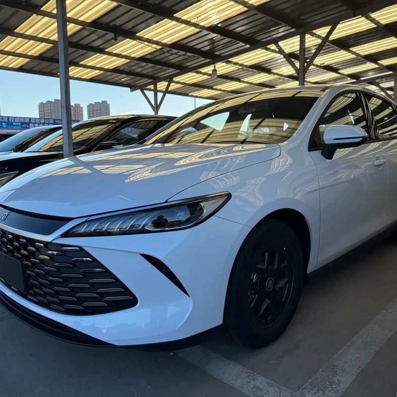 Qin PLUS 2025 DM-i Intelligent Driving Edition 55KM Leading Edition