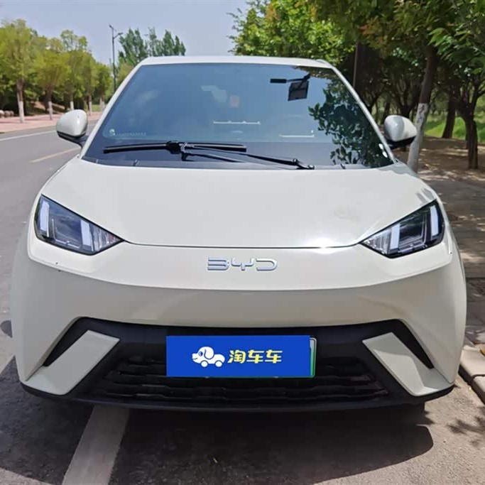 Seagull 2024 Glory Edition 405km Flying Edition Seagull 2024 Glory Edition 405km Flying Edition