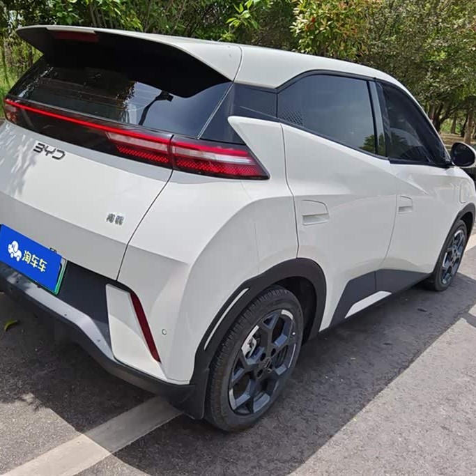 Seagull 2024 Glory Edition 405km Flying Edition Seagull 2024 Glory Edition 405km Flying Edition