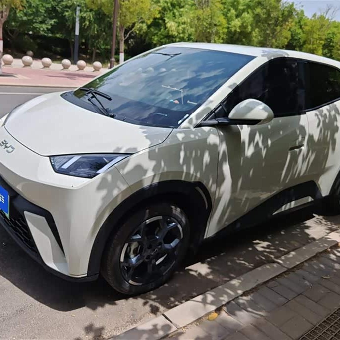 Seagull 2024 Glory Edition 405km Flying Edition