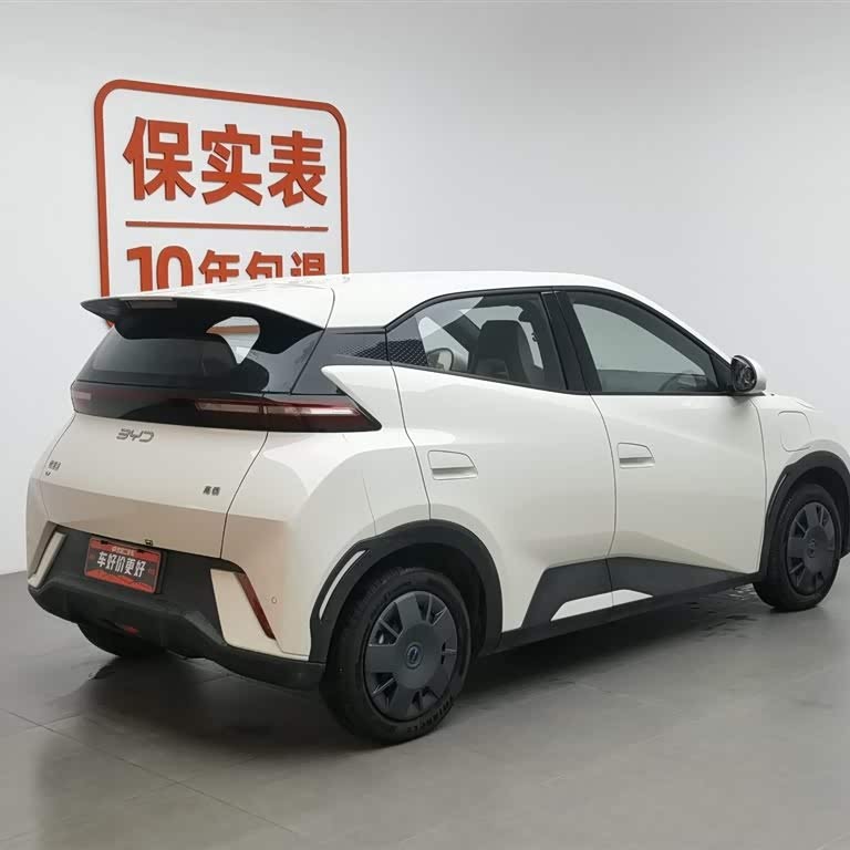 Seagull 2025 305km Vitality Edition Seagull 2025 305km Vitality Edition