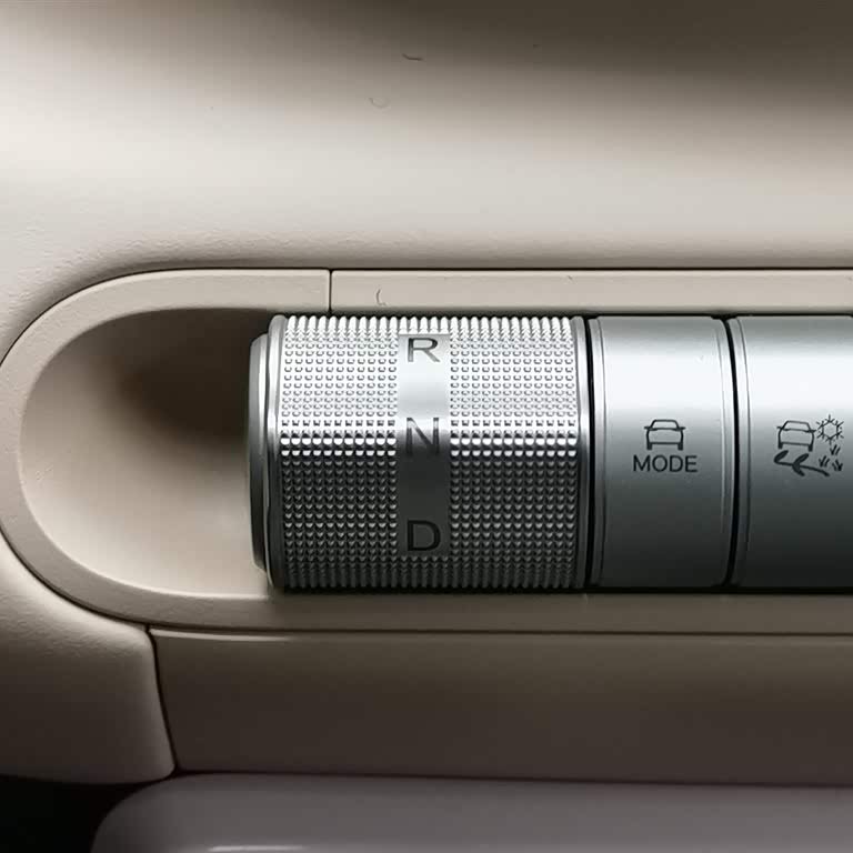 Seagull 2025 305km Vitality Edition Seagull 2025 305km Vitality Edition