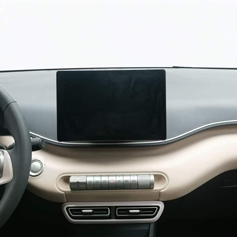 Seagull 2025 305km Vitality Edition Seagull 2025 305km Vitality Edition