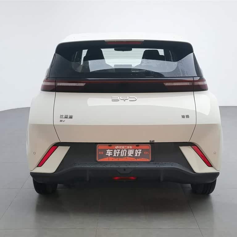 Seagull 2025 305km Vitality Edition Seagull 2025 305km Vitality Edition