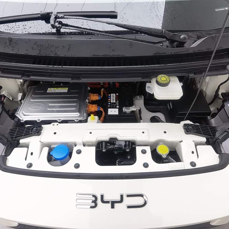 Seagull 2025 305km Vitality Edition Seagull 2025 305km Vitality Edition