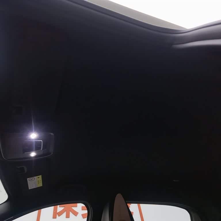 Seagull 2025 305km Vitality Edition Seagull 2025 305km Vitality Edition