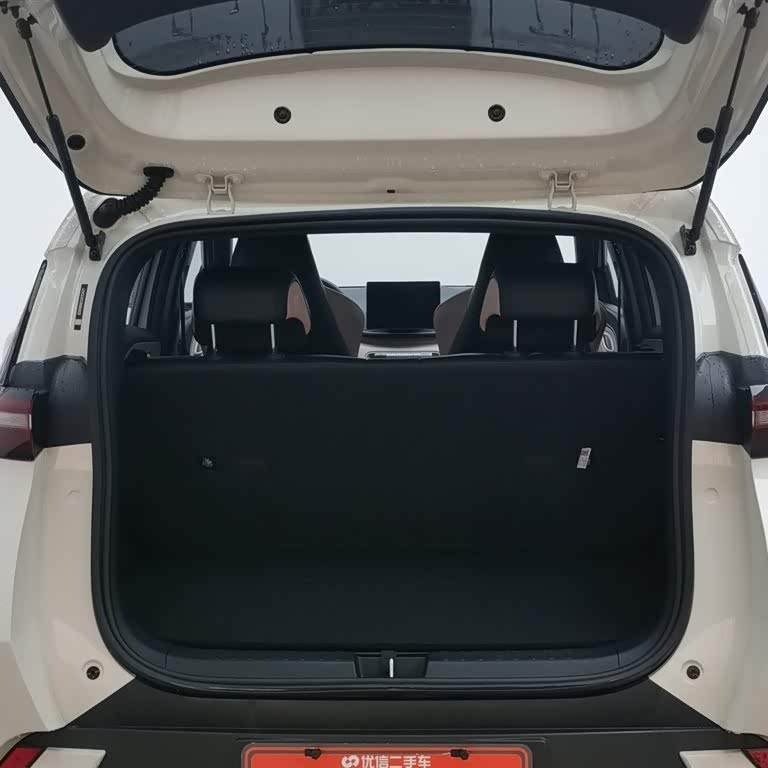 Seagull 2025 305km Vitality Edition Seagull 2025 305km Vitality Edition