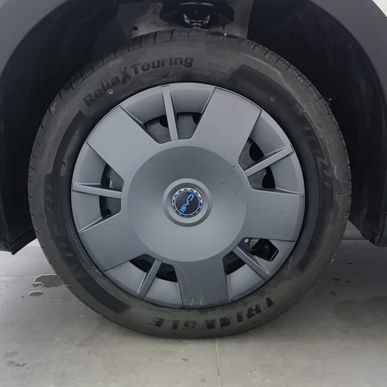 Seagull 2025 305km Vitality Edition Seagull 2025 305km Vitality Edition