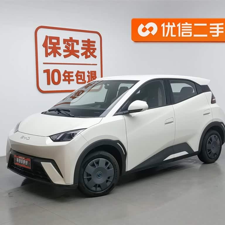 Seagull 2025 305km Vitality Edition