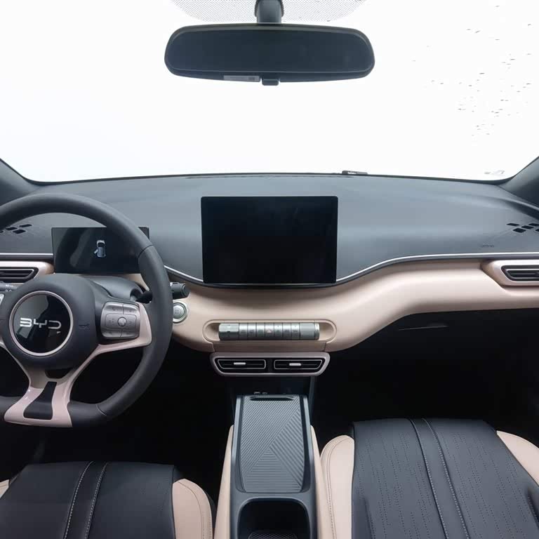 Seagull 2025 305km Vitality Edition Seagull 2025 305km Vitality Edition