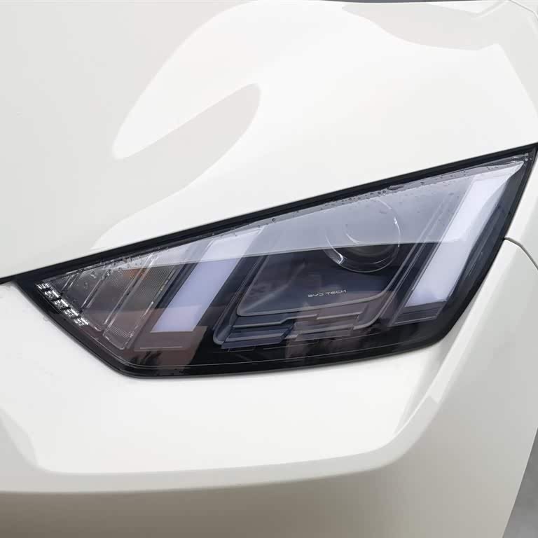 Seagull 2025 305km Vitality Edition Seagull 2025 305km Vitality Edition