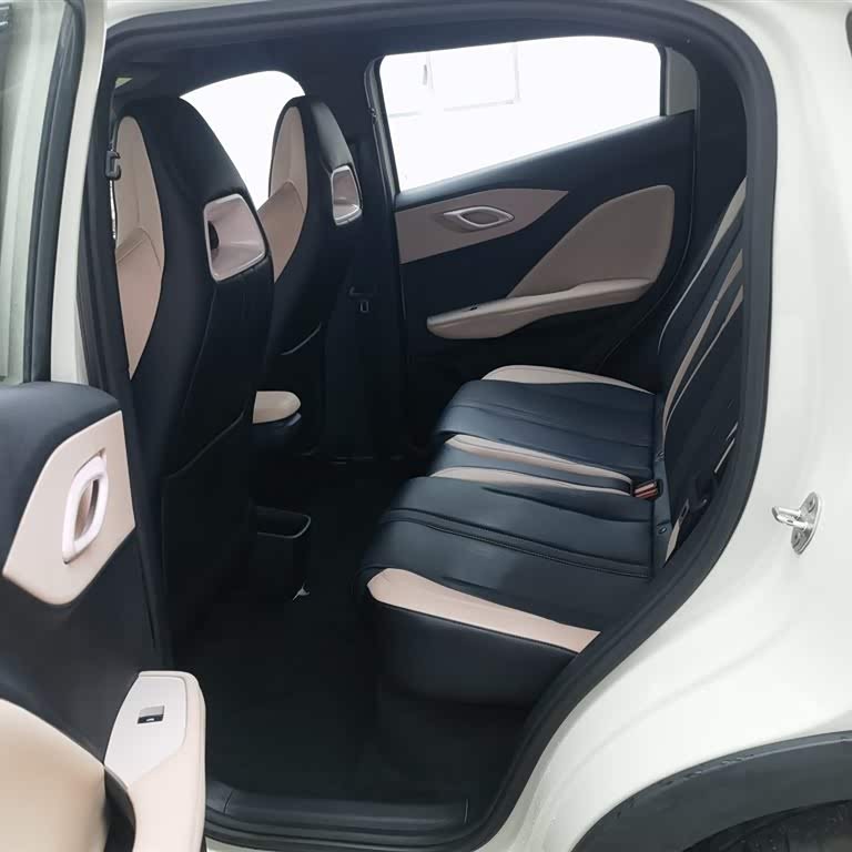 Seagull 2025 305km Vitality Edition Seagull 2025 305km Vitality Edition