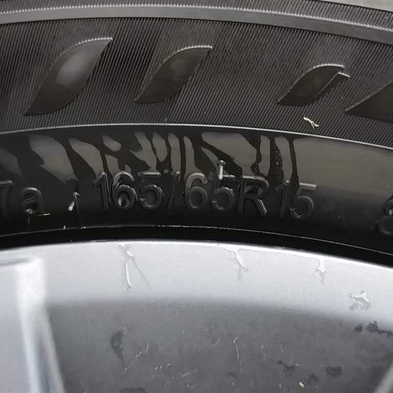 Seagull 2025 305km Vitality Edition Seagull 2025 305km Vitality Edition