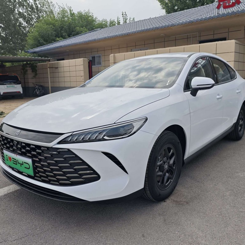 Qin PLUS 2025 DM-i Intelligent Driving Edition 55KM Leading Edition