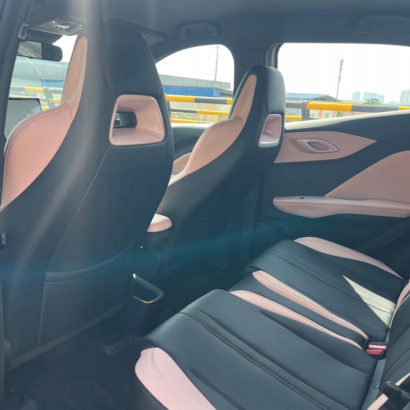 Seagull 2025 Smart Driving Edition 305km Free Edition Seagull 2025 Smart Driving Edition 305km Free Edition