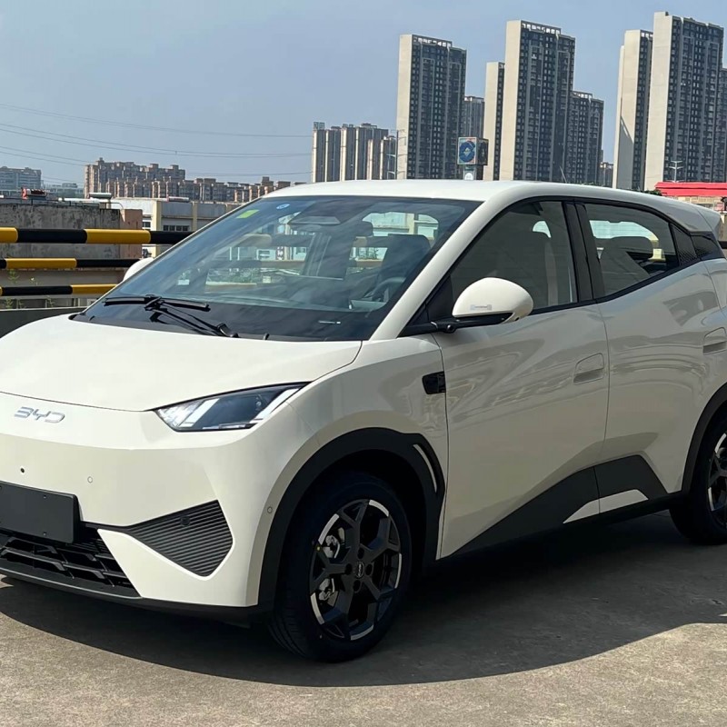 Seagull 2025 Smart Driving Edition 305km Free Edition Seagull 2025 Smart Driving Edition 305km Free Edition
