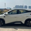 Seagull 2025 Smart Driving Edition 305km Free Edition Seagull 2025 Smart Driving Edition 305km Free Edition