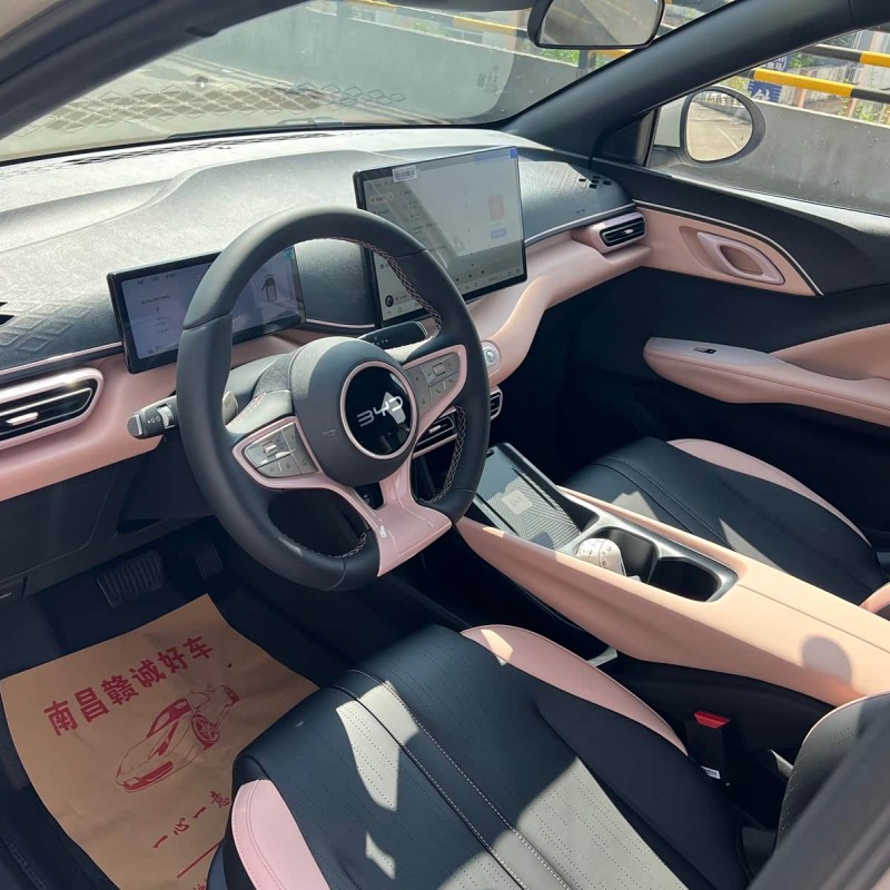 Seagull 2025 Smart Driving Edition 305km Free Edition Seagull 2025 Smart Driving Edition 305km Free Edition