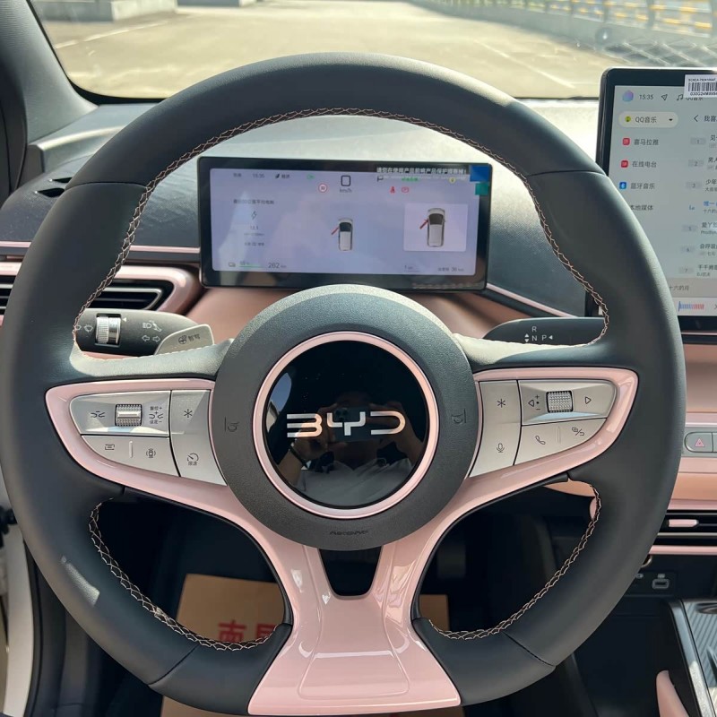 Seagull 2025 Smart Driving Edition 305km Free Edition Seagull 2025 Smart Driving Edition 305km Free Edition