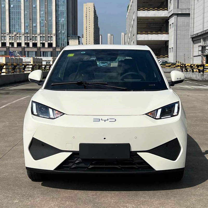 Seagull 2025 Smart Driving Edition 305km Free Edition Seagull 2025 Smart Driving Edition 305km Free Edition