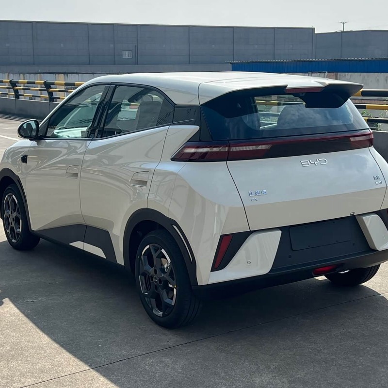 Seagull 2025 Smart Driving Edition 305km Free Edition Seagull 2025 Smart Driving Edition 305km Free Edition