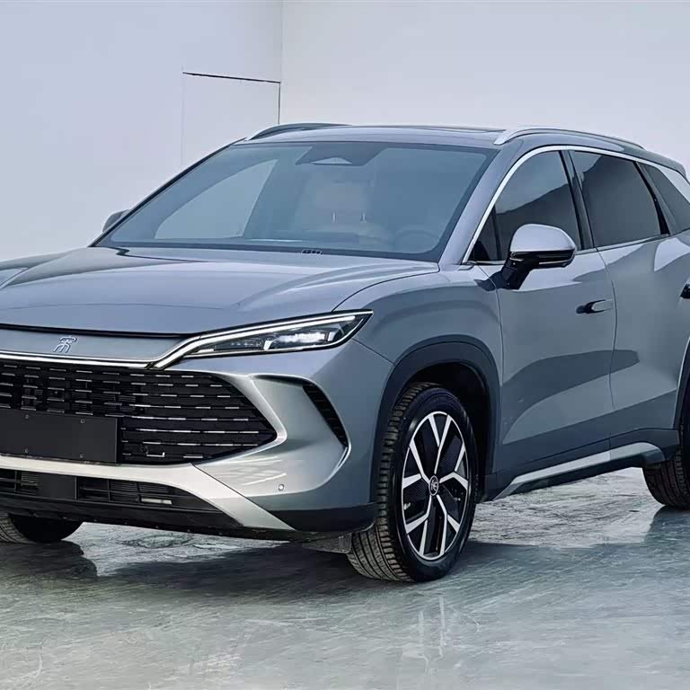Song L DM-i 2024 model 160km surpassing model Song L DM-i 2024 model 160km surpassing model