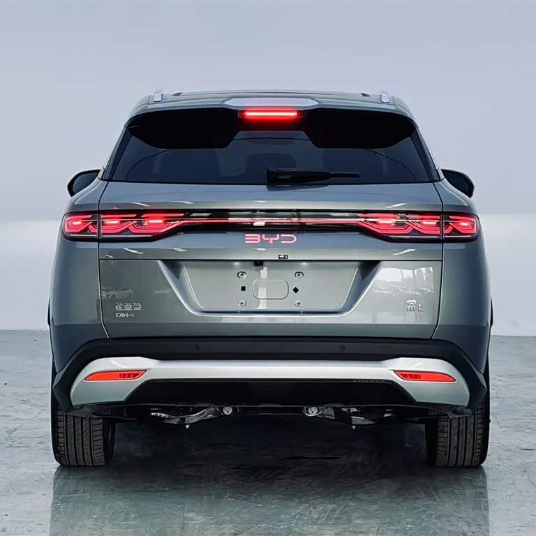 Song L DM-i 2024 model 160km surpassing model Song L DM-i 2024 model 160km surpassing model