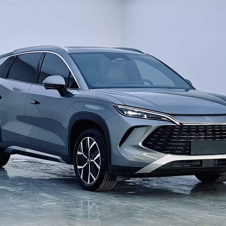 Song L DM-i 2024 model 160km surpassing model Song L DM-i 2024 model 160km surpassing model