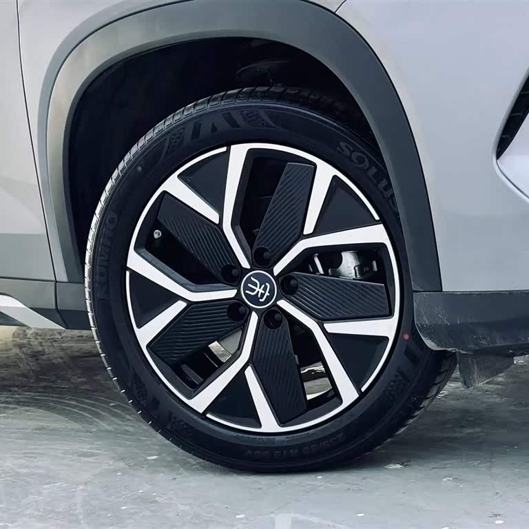 Song L DM-i 2024 model 160km surpassing model Song L DM-i 2024 model 160km surpassing model