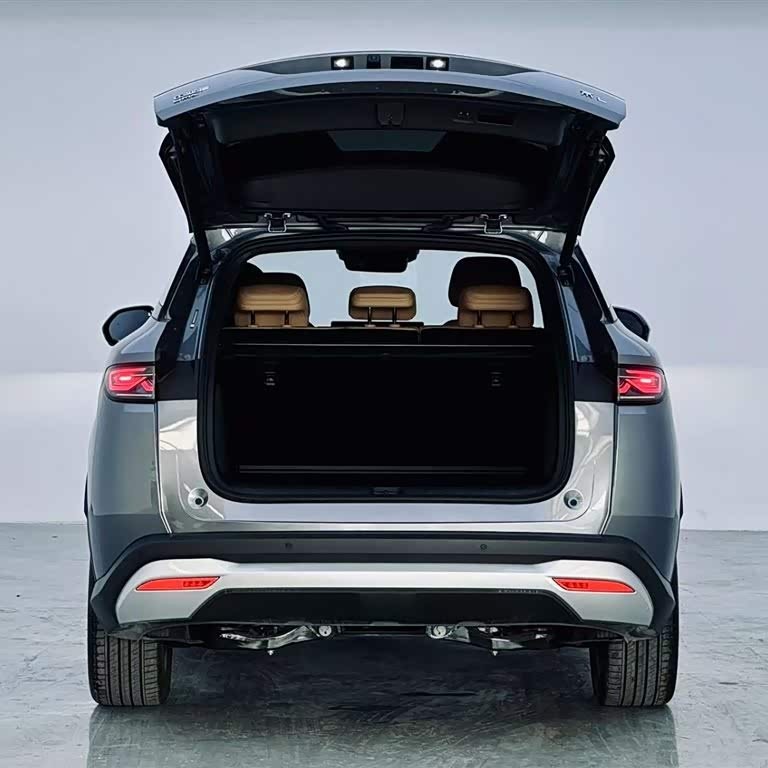 Song L DM-i 2024 model 160km surpassing model Song L DM-i 2024 model 160km surpassing model