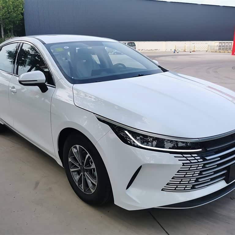 Destroyer 05 2024 Glory Edition DM-i 55KM Luxury Model Destroyer 05 2024 Glory Edition DM-i 55KM Luxury Model