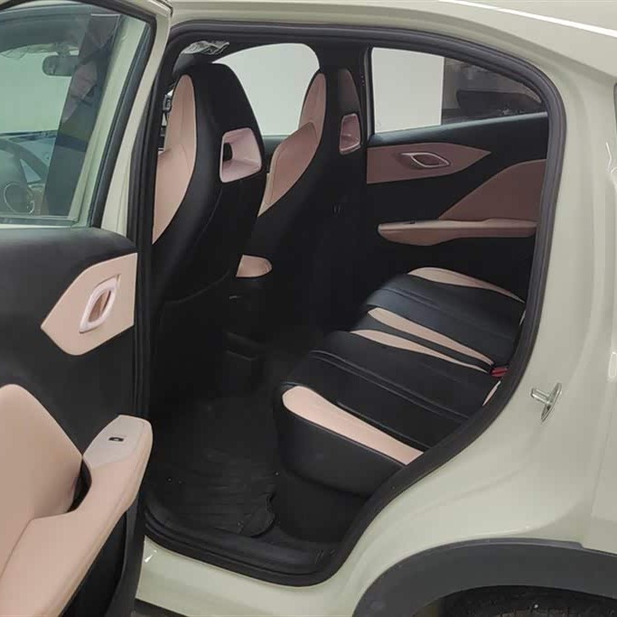 Seagull 2025 305km Vitality Edition Seagull 2025 305km Vitality Edition