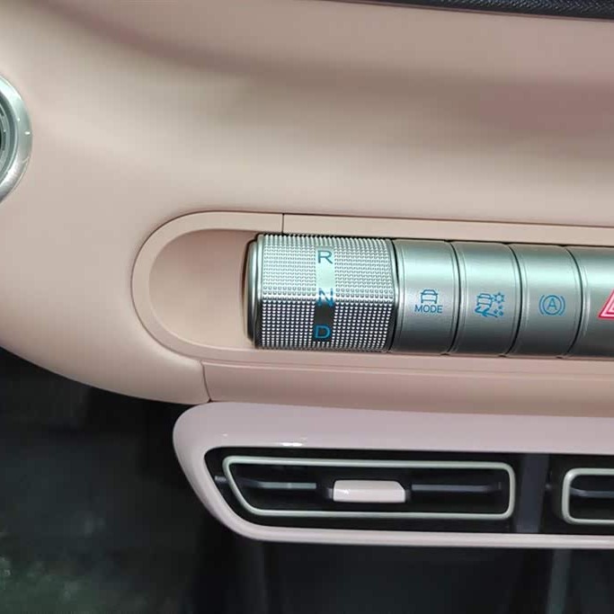 Seagull 2025 305km Vitality Edition Seagull 2025 305km Vitality Edition