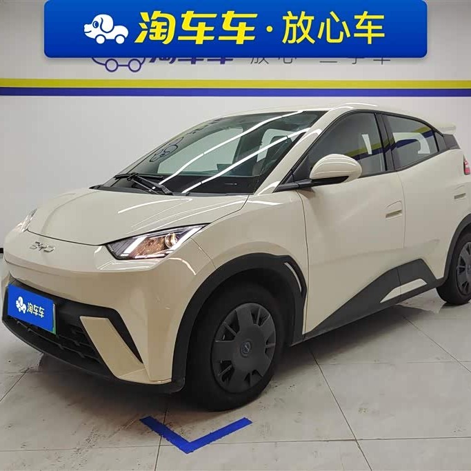Seagull 2025 305km Vitality Edition