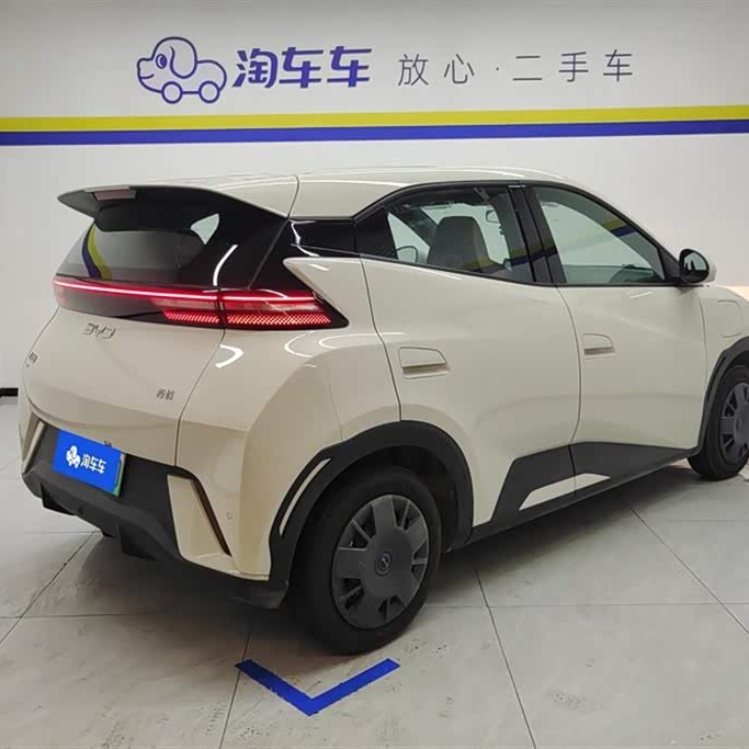 Seagull 2025 305km Vitality Edition Seagull 2025 305km Vitality Edition