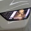 Seagull 2025 305km Vitality Edition
